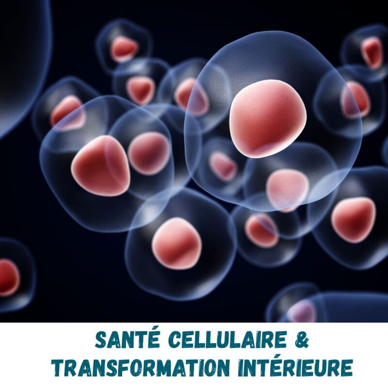sante cellulaire transformation interieur karyn piloquet