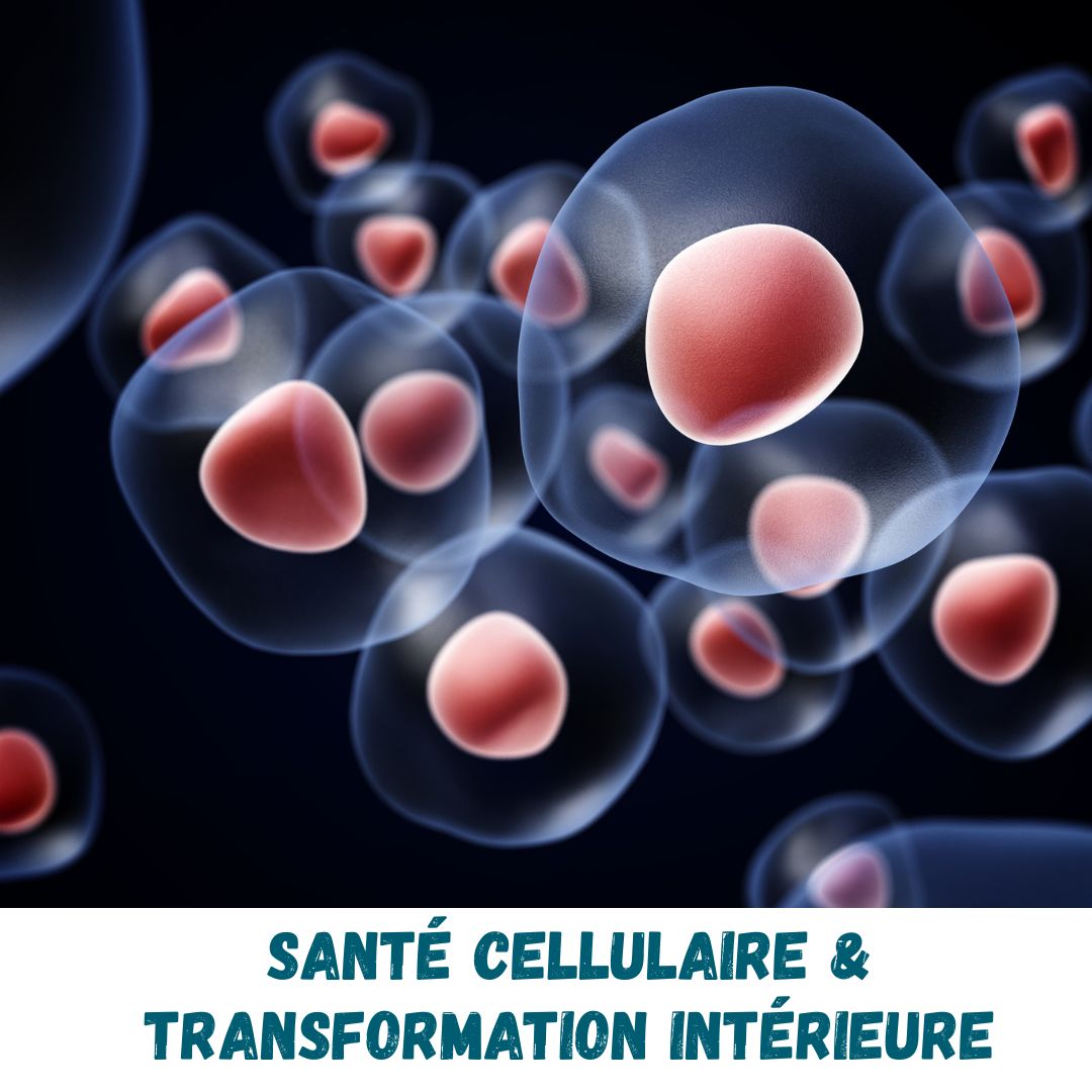 Le Cercle des f’âmes qui se choisissent ! 6 mois de voyage intérieur holistique